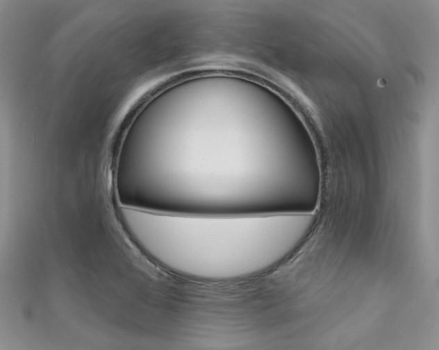X0000111481368200907141034
