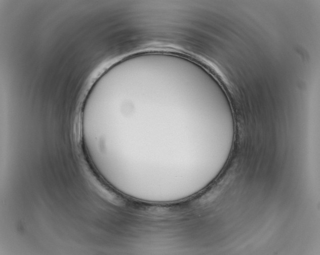 X0000111481371200907141034