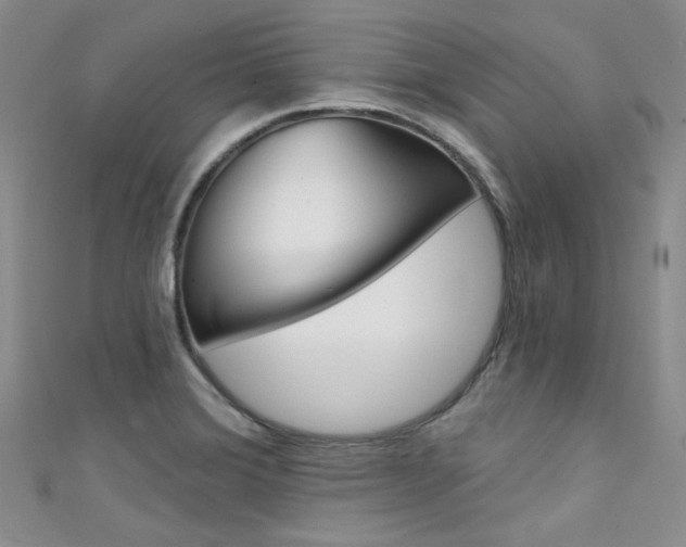 X0000111481372200907141034
