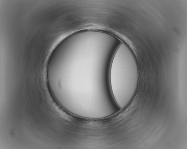 X0000111481375200907141034