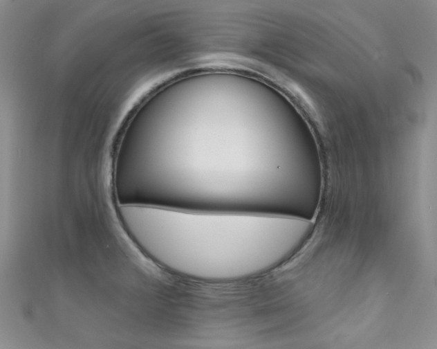 X0000111481376200907141034