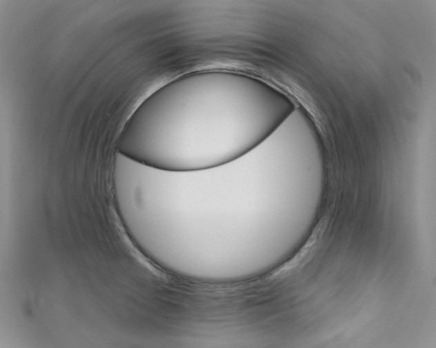 X0000111481377200907141034