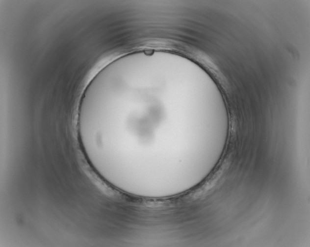 X0000111481378200907141034