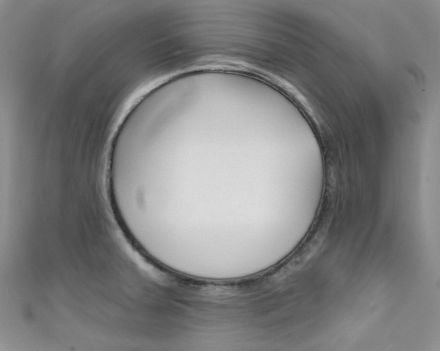 X0000111481379200907141034