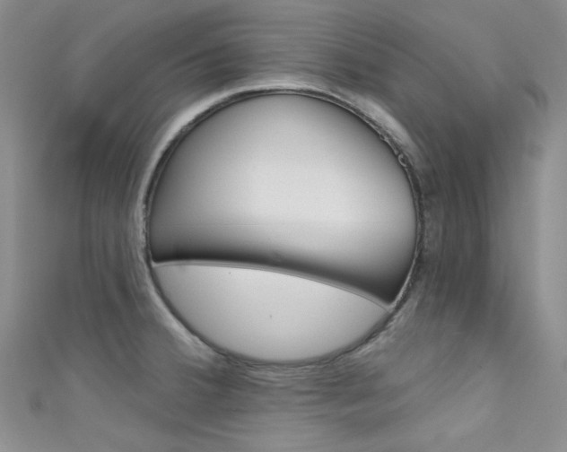 X0000111481380200907141034