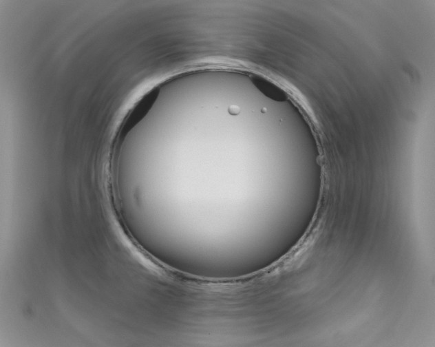 X0000111481381200907141034