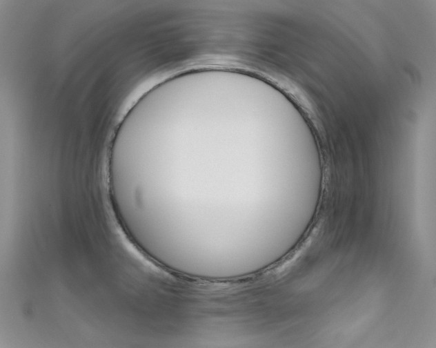 X0000111481382200907141034