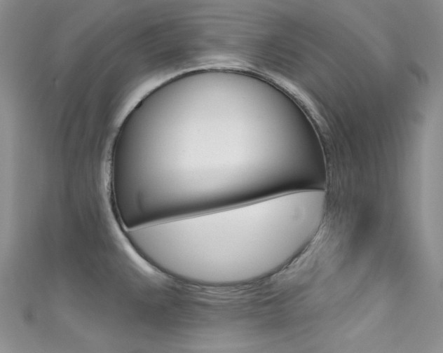 X0000111481383200907141034