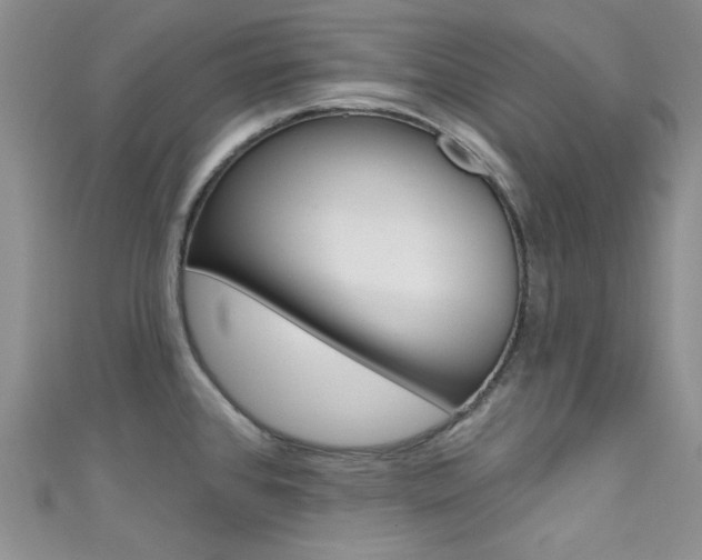 X0000111481384200907141034