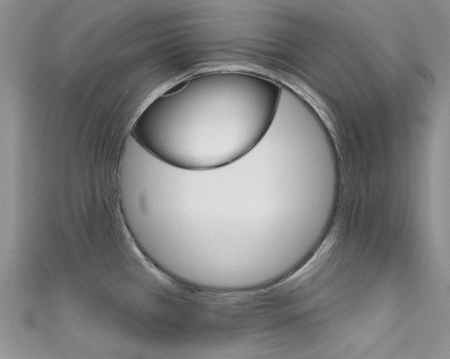 X0000111481385200907141034