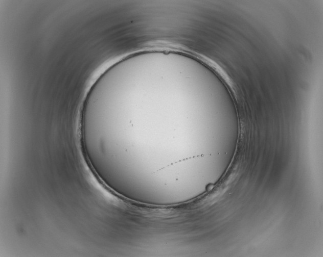 X0000111481387200907141034