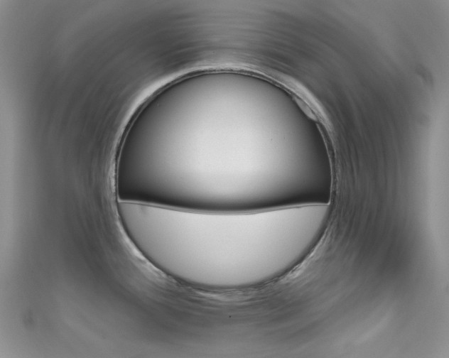 X0000111481388200907141034