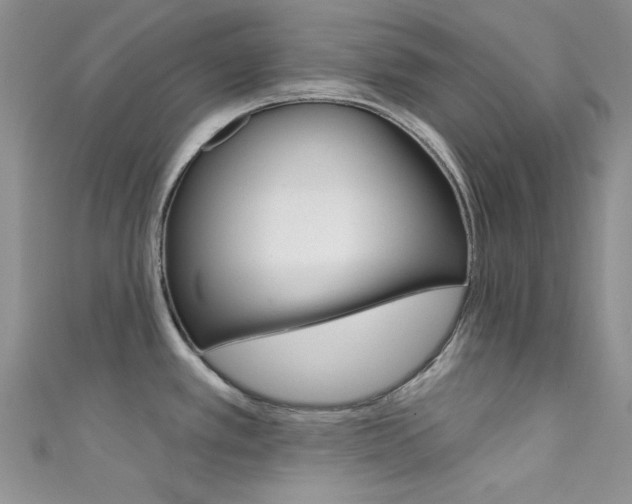 X0000111481389200907141034
