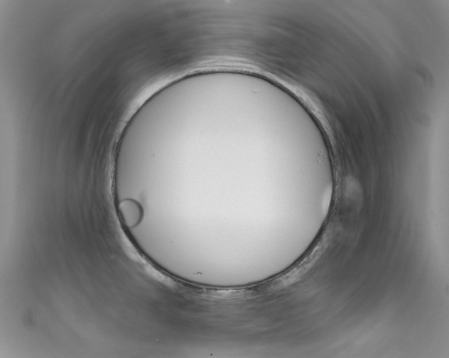 X0000111481390200907141034