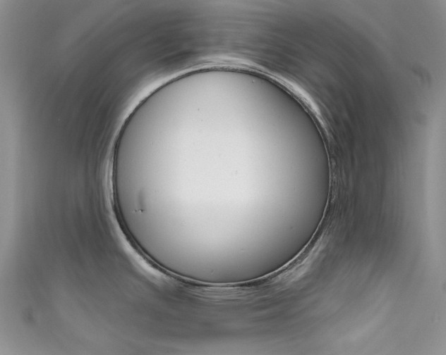 X0000111481391200907141034
