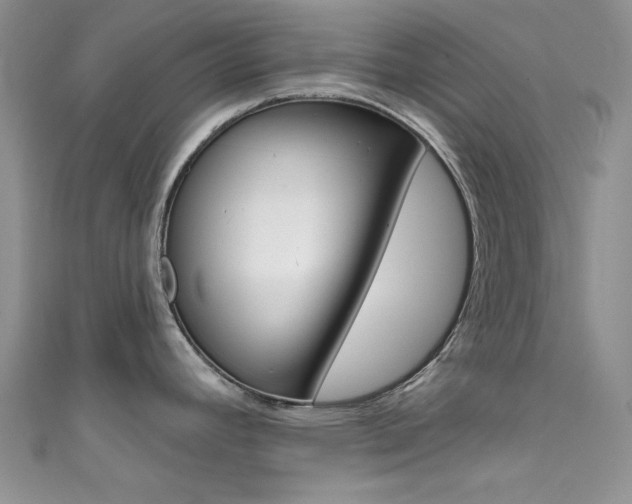 X0000111481392200907141034
