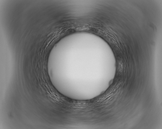 X0000111481393200907141033