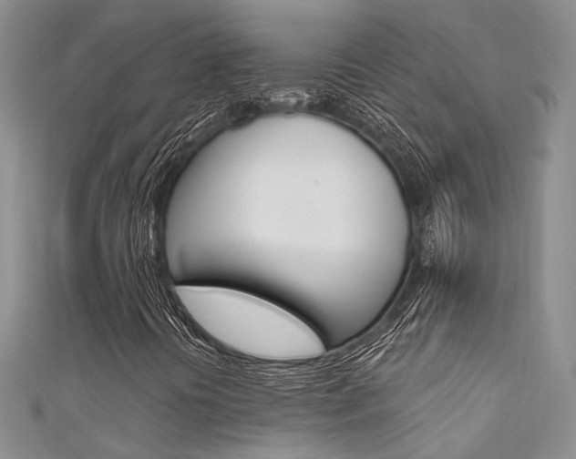 X0000111481394200907141033