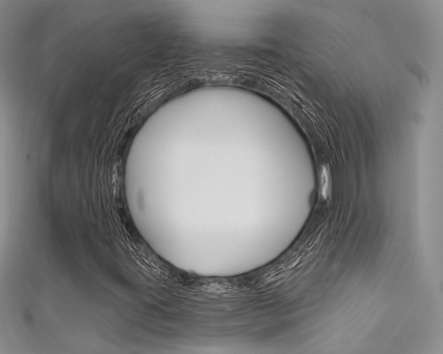 X0000111481395200907141033