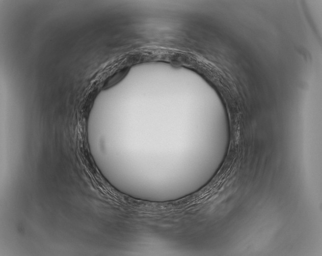 X0000111481397200907141033