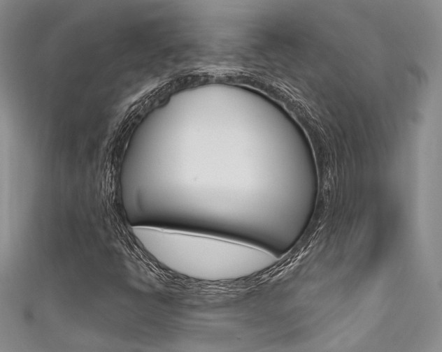 X0000111481398200907141033