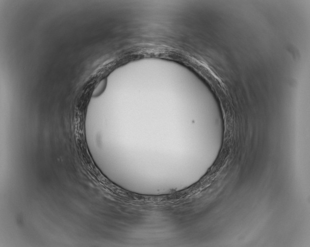 X0000111481399200907141033