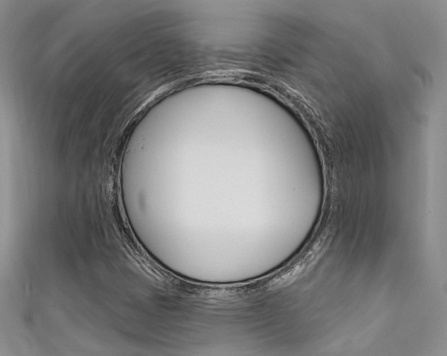 X0000111481401200907141033
