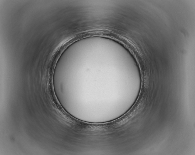 X0000111481402200907141033