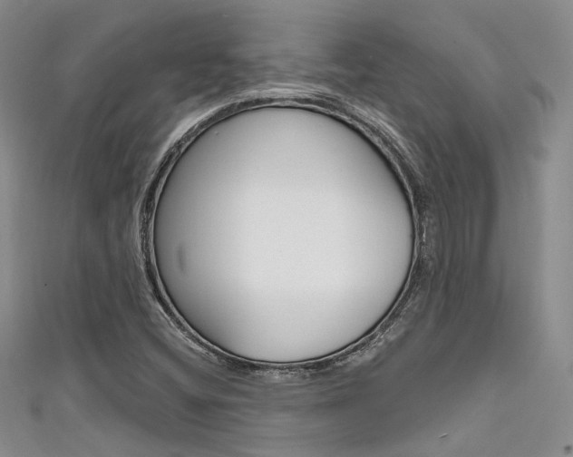 X0000111481404200907141033