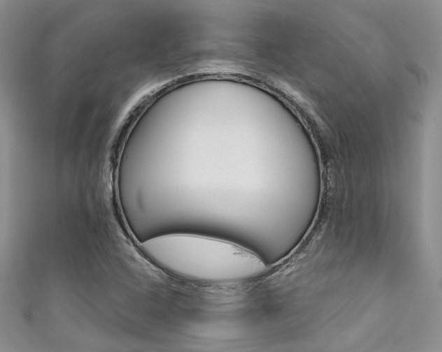 X0000111481408200907141033