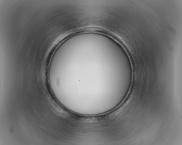 X0000111481410200907141033