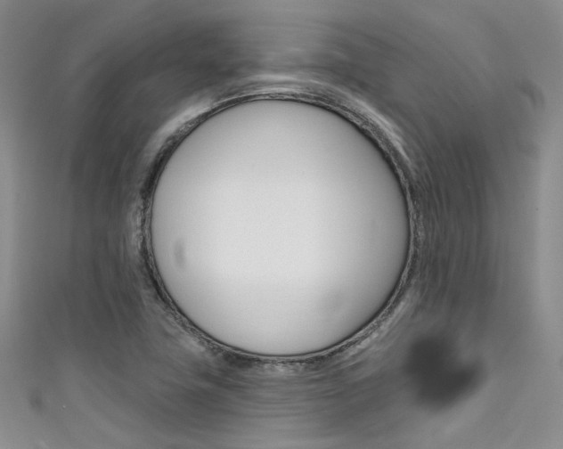 X0000111481411200907141033