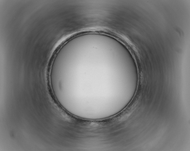 X0000111481412200907141033