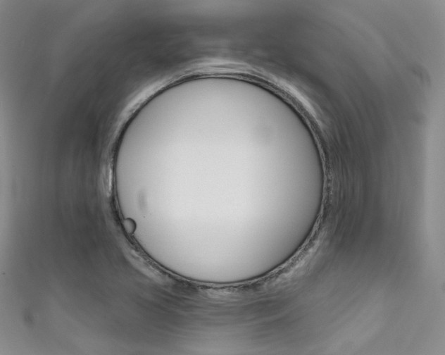 X0000111481413200907141033