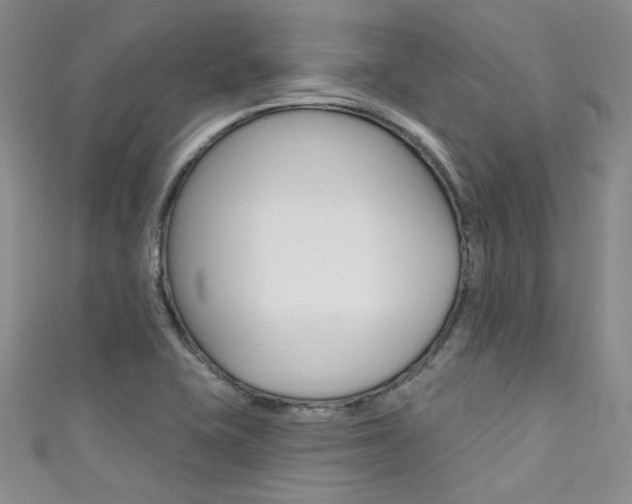 X0000111481415200907141033