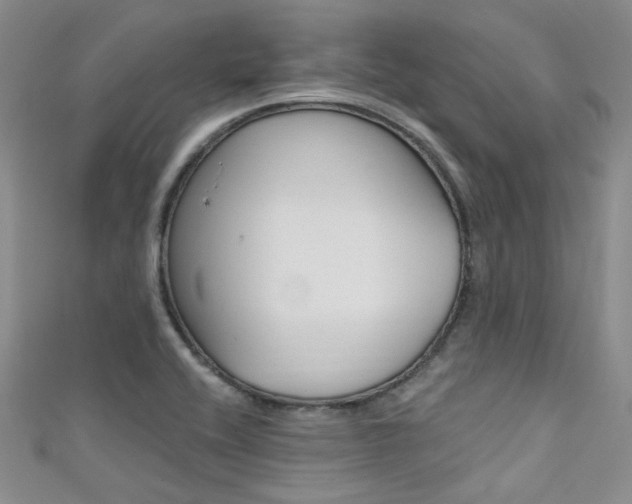 X0000111481416200907141033