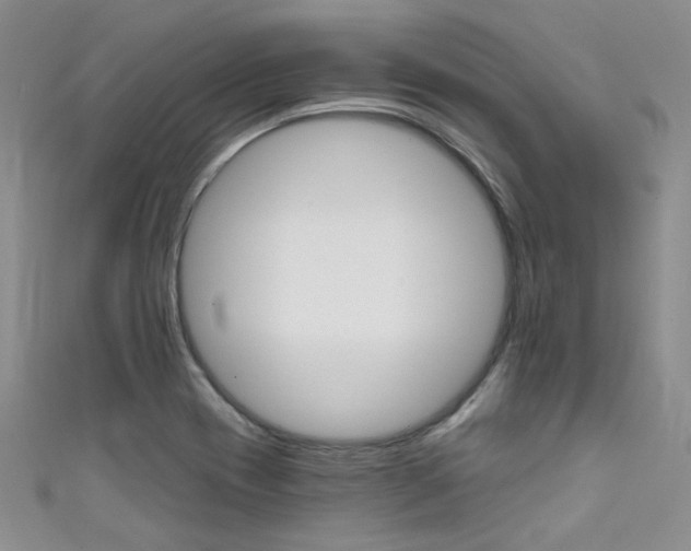 X0000111481417200907141033