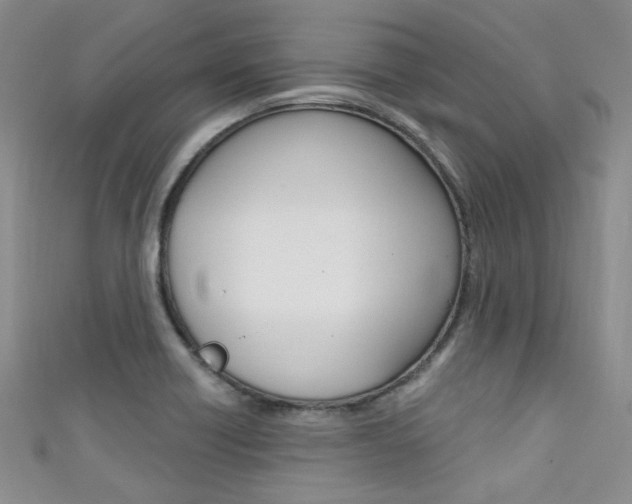 X0000111481418200907141033