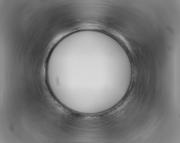 X0000111481419200907141033