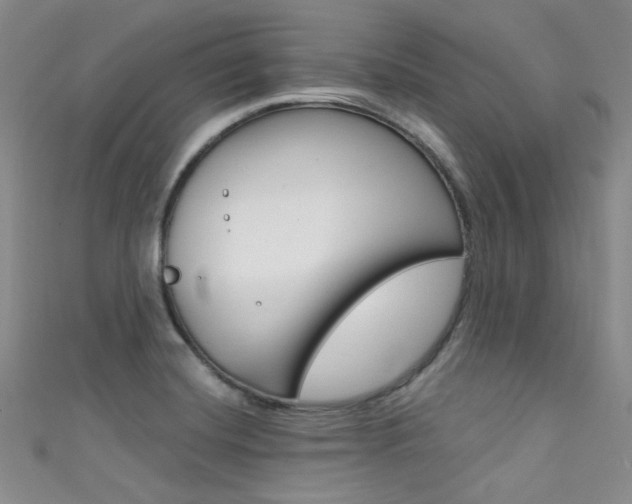 X0000111481420200907141033