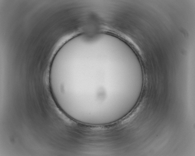 X0000111481421200907141033