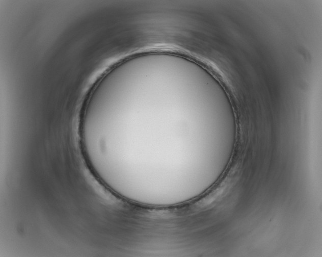 X0000111481422200907141033