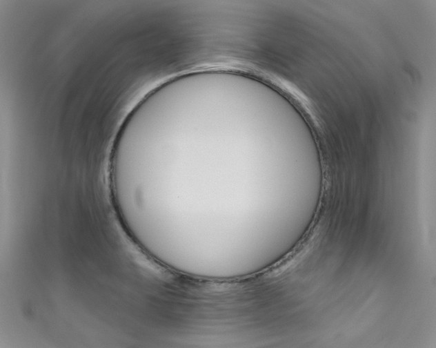 X0000111481423200907141034