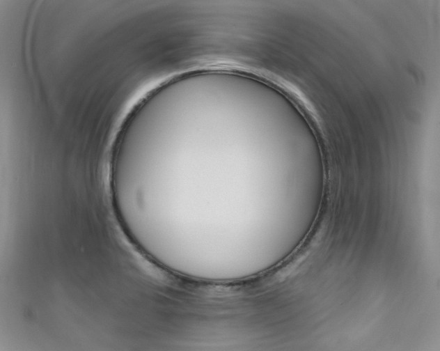 X0000111481424200907141034