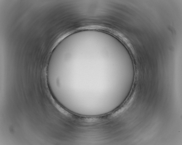 X0000111481425200907141034