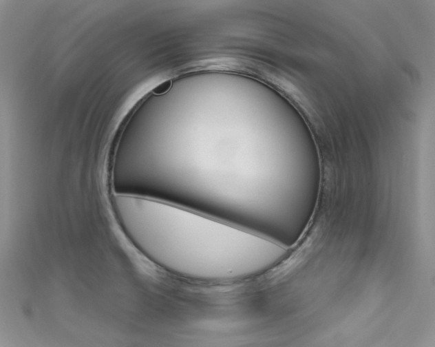 X0000111481426200907141034