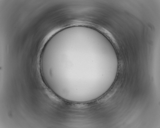 X0000111481427200907141034