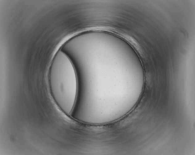 X0000111481428200907141034