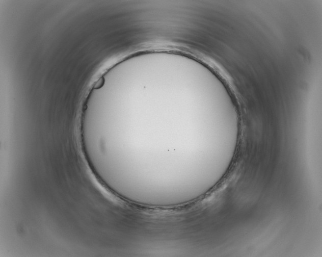 X0000111481429200907141034