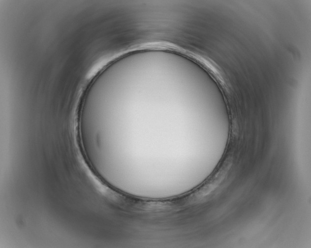 X0000111481430200907141034